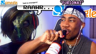 I interviewed a Lizard FURRY