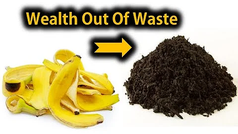 6 Ways To Use Banana Peels In Your Garden As Fertiliser