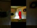 Santa fridge ho Gaya #santa #shortsfeed #viralvideo #grannygame #shortvideo