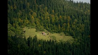 İnegöl Karışık Drone Görüntüleri 2021(Dji Mini2)