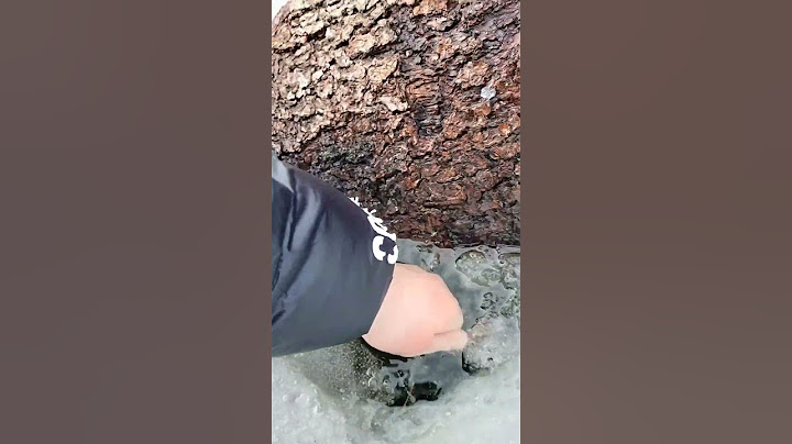 Kauan pystyn pitää mun kättä jääkylmässä lammikon reiässä Haaste