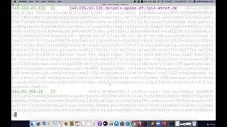 21  Shodan Search Query