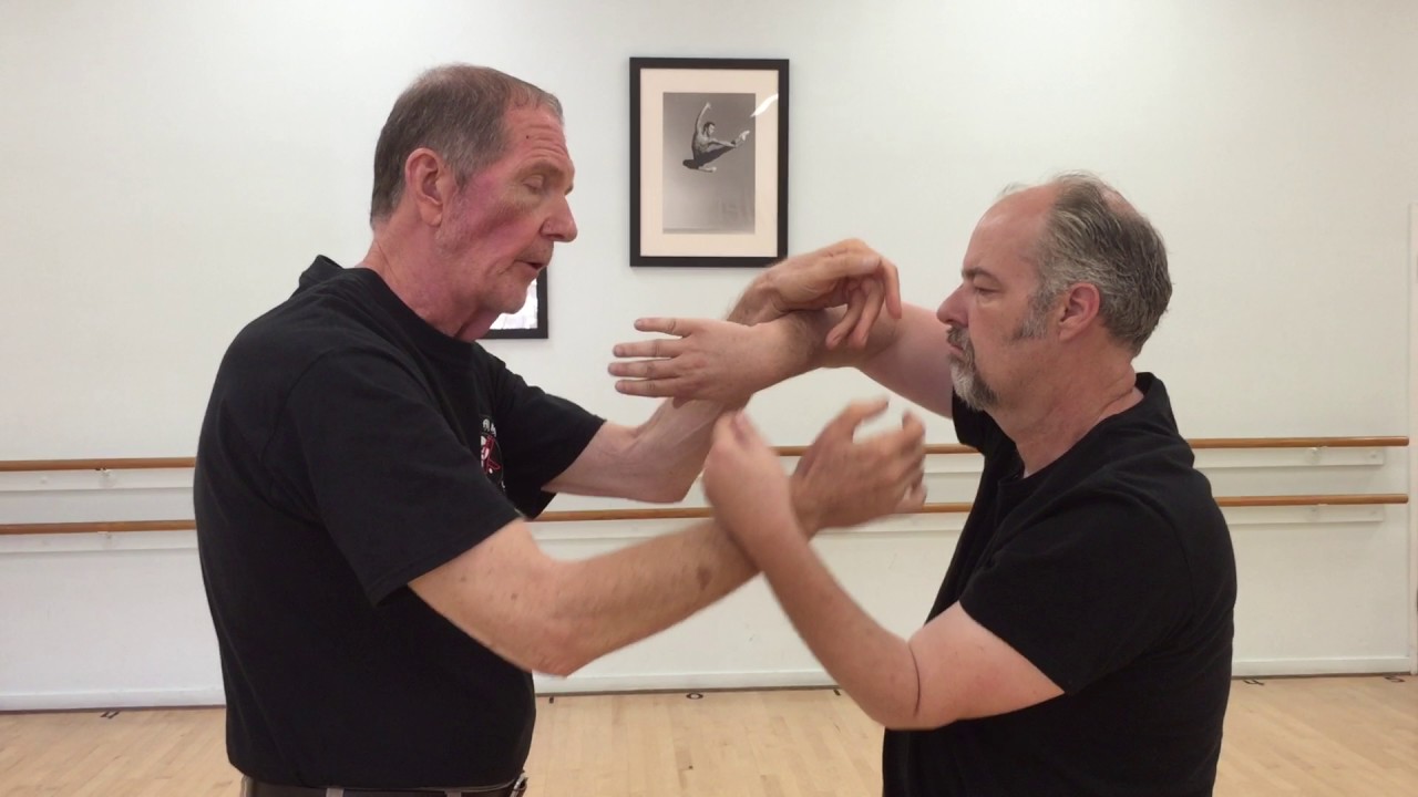 Alan Lamb Wing Chun Tok Sau Demonstration