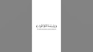 كروما شاشة بيضاء قرآن كريم 🌿تلاوة من سورة فاطر 🌿القارئ عبدالرشيد صوفي 🌿