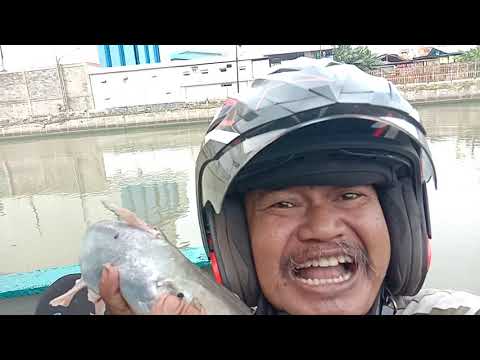 Joran Jomblo Mancing