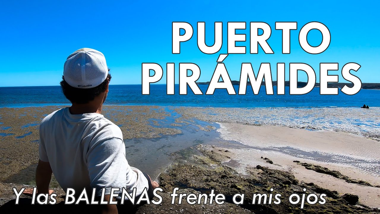 Aparecen 4 BALLENAS enfrente mío en Puerto Pirámides | Chubut