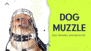 Dog muzzle: Safety, Comfort, and trainingtips by A dogsy 29 views 9 months ago 6 minutes, 38 seconds