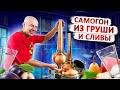 Рецепт Самогона из фруктов от Ильи Николаевича!!!