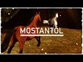 SSO - Mostantól [Music Video]