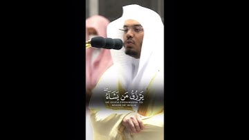 يَرْزُقُ مَنْ يَشَاءُ ~ تلاوة جميلة ومميزة جدا من سورة الشورى للشيخ ياسر الدوسري 👌❤️