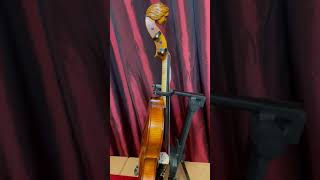 1. 4/4 MAESTRO VASILE GLIGA Special 'Girl' Scroll One Piece Back Violin - Code D0887V - Video 1
