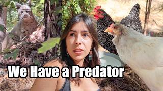 Tragedy on the Homestead