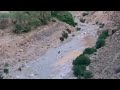 نصيحة مني لا تشاهد الفيديو ممنوع على الصغار