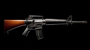 The M16 Rifle: How It Changed Warfare Forever | Trigger Tales