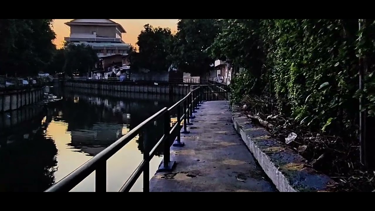 Under the shadow of the bridge, where concrete met the quiet current, I released them.