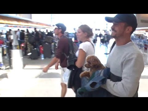 Exclusive Orlando Bloom And Emotional Support Dog Mighty Take A Trip Youtube