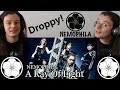 (REACTION) Nemophila - A Ray of Light
