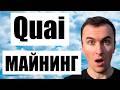 Как Майнить Quai в Hiveos и Windows на Видеокарте на Алгоритме Kawpow (для новичков)