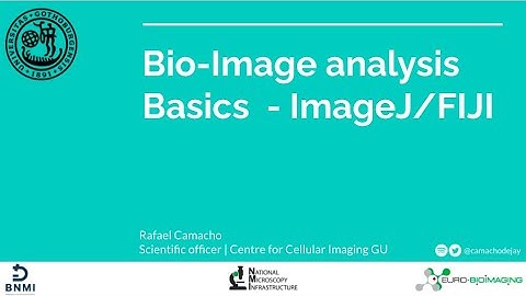 Basic Introduction to BioImage Analysis Using FIJI - ImageJ
