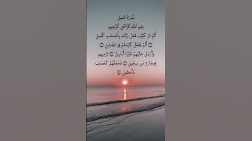 #قران_كريم سورة الفيل #علاء_عقل #قران #اكسبلور