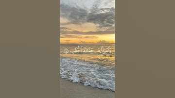 #سورة_المسد#الشيخ_ياسر_الدوسري #القرآن_الكريم