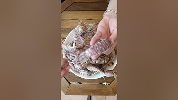 Cách lột vỏ tôm tít siêu nhanh #xuhuong #shorts