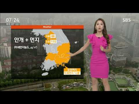 [날씨] 미세먼지농도 '나쁨'…낮기온 어제와 비슷 / SBS