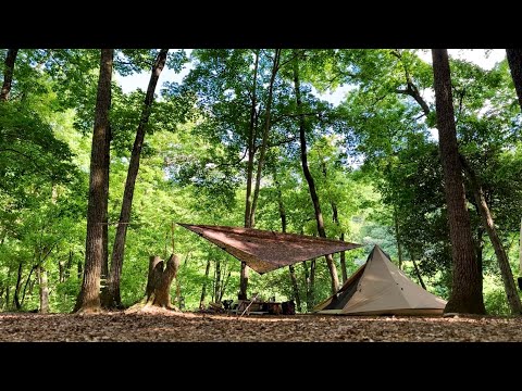 【ソロキャンプ】眠っていた鉄板を持って静かな森へ