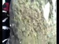 Onyx  pillows of weed sticky fingaz