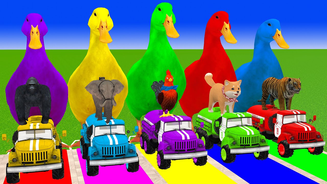 Long Slide Game with Cow Elephant Gorilla Hippopotamus Tiger 3d Animal Game Funny 3d Animals