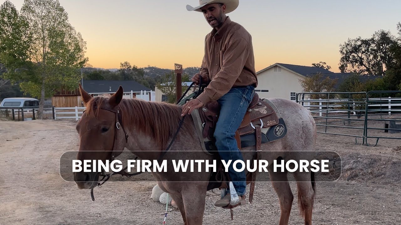 Master the Art of Firmness Increase Your Horse's Respect YouTube