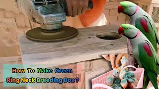 How to Make Ring Neck Parrot Nest Box 🦜 | How to make breeding box at home 🛠️