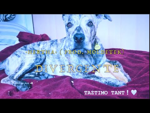 HERTHA - DIVERGENTE (PROD·MOLDETEK)