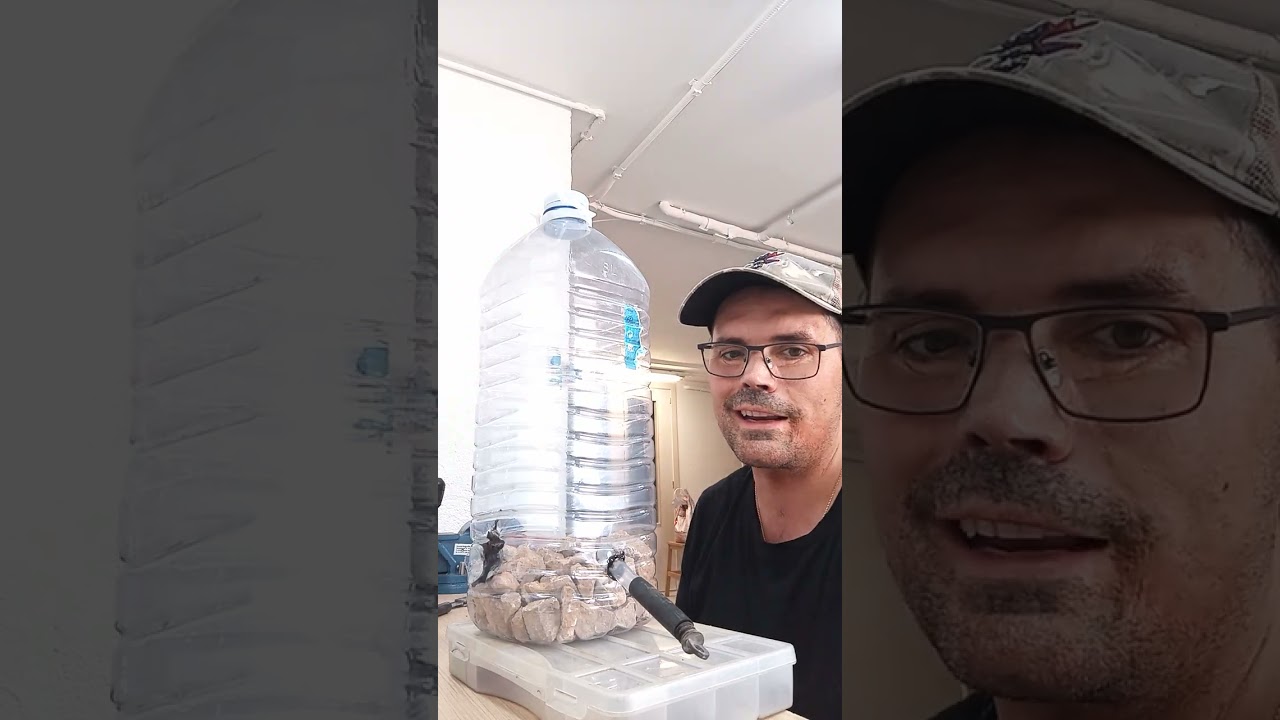 inventos para la avispa velutina (avispa asiatica)