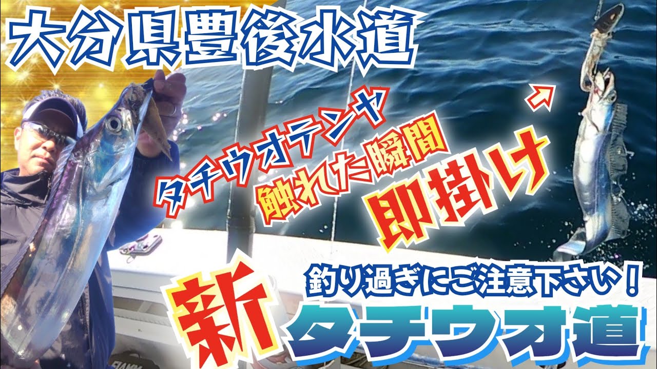 即掛け【タチウオ道】触れた瞬間に即掛ける！釣り過ぎるのでご注意ください。大分県豊後水道タチウオ