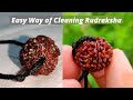 How to Clean Rudraksha | Rudraksha cleaning process