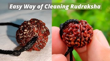How to Clean Rudraksha | Rudraksha cleaning process