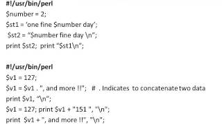Introduction to Perl Programming