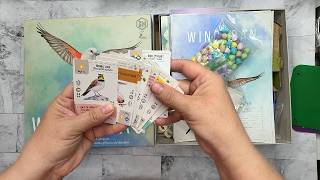 Wingspan Board Game Strategy and Fun | Stonemaier Games: Wingspan by Elizabeth Hargrave