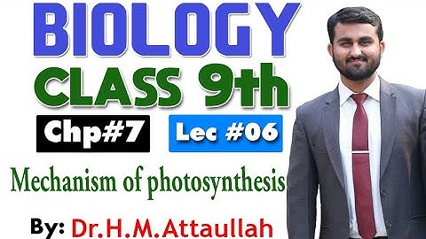 Mechanism of photosynthesis  | Bioenergetics | Chapter 7 | 9th class Biology | Lec 6