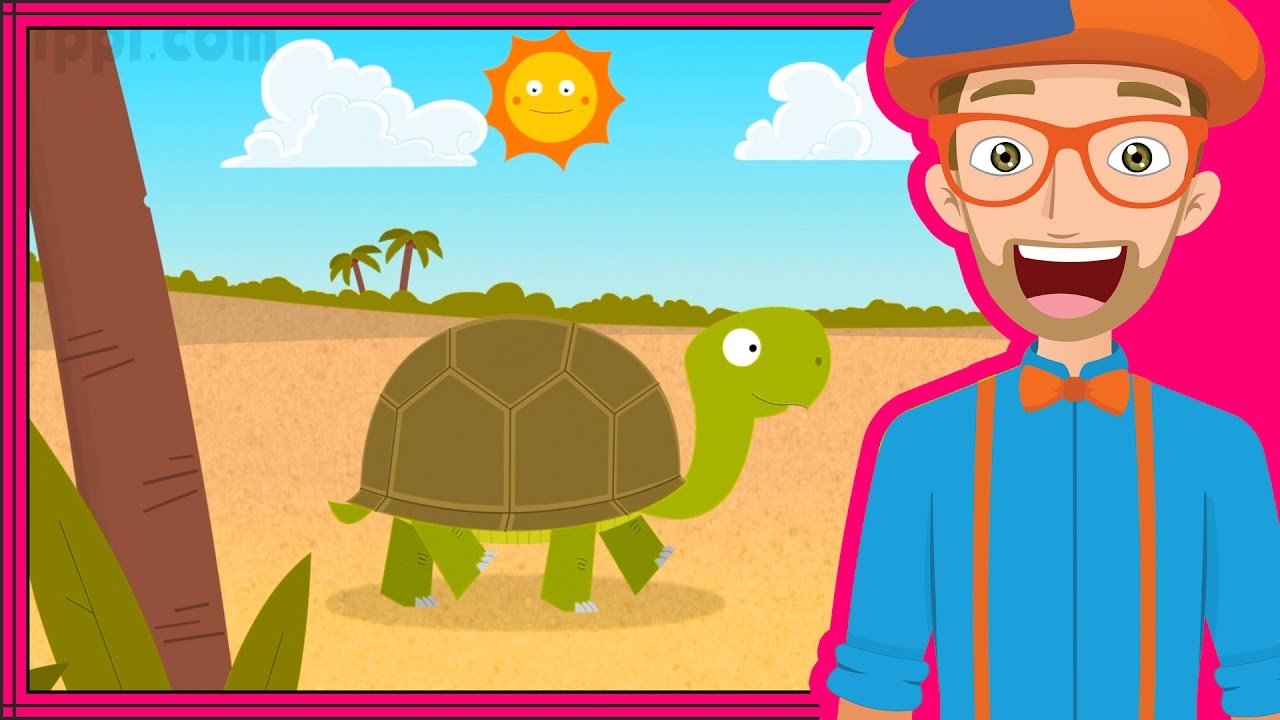 The Tortoise Song By Blippi Animals For Toddlers Youtube The Tortoise Song By Blippi Animals For Toddlers Youtube