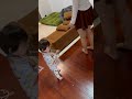 色んな物を手に持つ息子👶🖐️