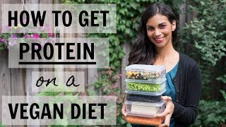 How do vegans get protein? | top vegan protein sources part 1