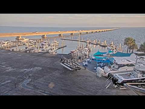 Legendary Marina Live Stream