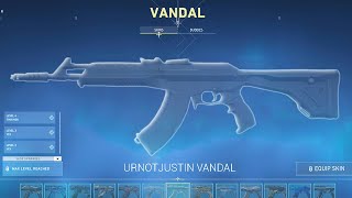 Urnotjustin Collection - Valorant