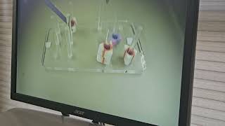 peg transfer 1 Profile