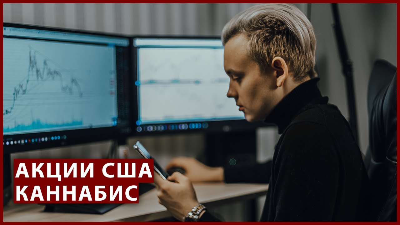 Стоит ли покупать акции Каннабиса? Краткий обзор Marijuana Index