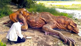 Strange Creatures You've NEVER Seen Before! You MUST See This!