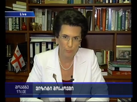 მავთულხლართები საოკუპაციო ზოლში - \"მოამბის\" შეკითხვებს ნინო ბურჯანაძემ უპასუხა