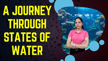 Class 6 Science Chapter 8 | A Journey Through States of Water | NCERT Complete Chapter | Curiosity
